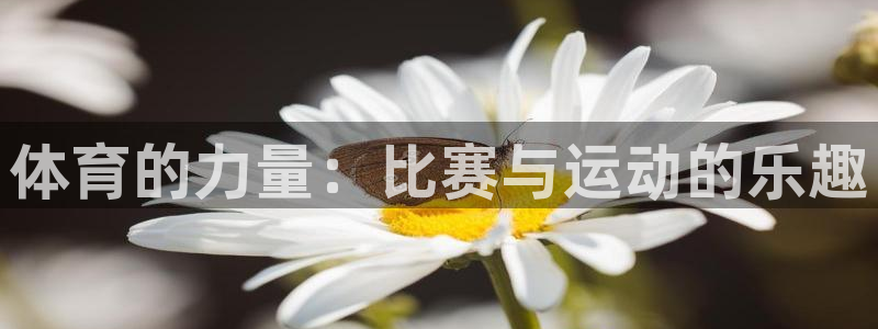 意昂2体育4