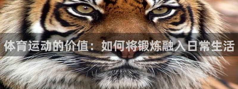 意昂2官网