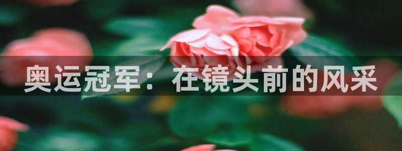 意昂2体育注册代理