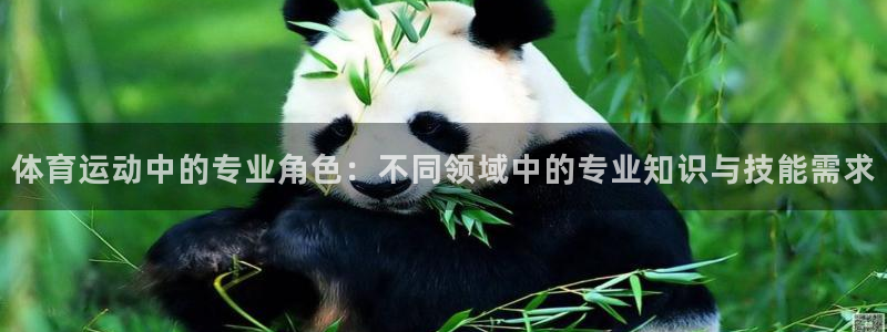 意昂招商